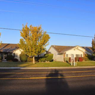 A serene residential street with houses and vibrant trees under a clear blue sky.