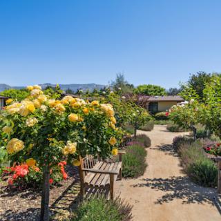 A serene garden pathway adorned with vibrant flowers and a cozy bench, inviting visitors to enjoy the beauty of nature.