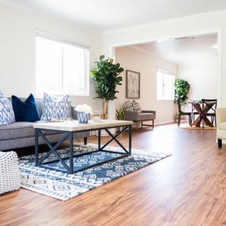 A bright and modern living room with a comfortable sofa, coffee table, and decorative plants.