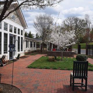 A serene garden with blossoming trees and a brick patio adjacent to a building.