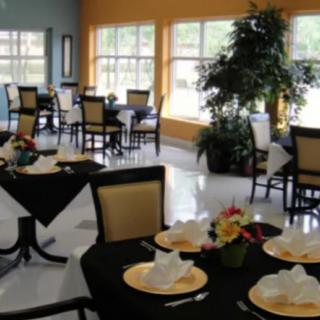 A well-arranged dining area with neatly set tables and chairs, featuring decorative plants.