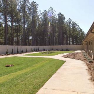 A landscaped yard featuring a sidewalk, well-maintained lawn, and a row of trees along a fenced boundary.