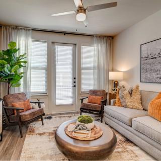 A cozy and modern living room featuring a comfortable sofa, stylish chairs, a round coffee table, and indoor plants.