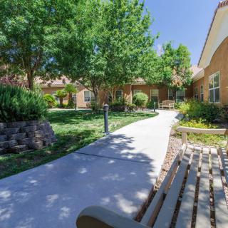 A serene outdoor pathway lined with trees and benches, leading to a building on a sunny day.
