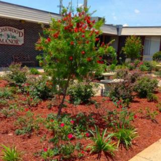 A beautifully landscaped garden with a variety of plants, including a small tree and bushes, surrounded by mulch.