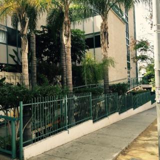 An urban scene with palm trees lining the sidewalk in front of a modern building enclosed by a green metal fence.