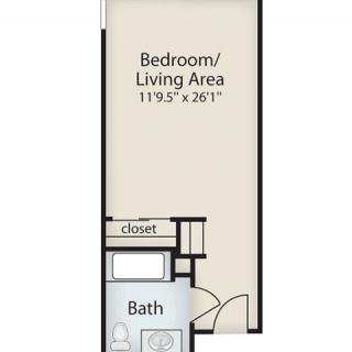 Studio apartment floor plan with a combined bedroom/living area, bathroom, and closet.