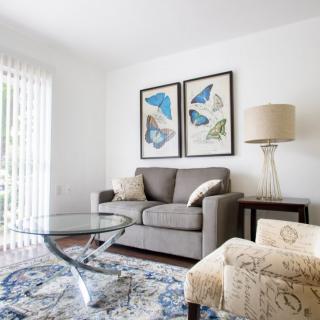 A modern living room featuring a grey sofa, butterfly artwork, a glass coffee table, and a stylish lamp.