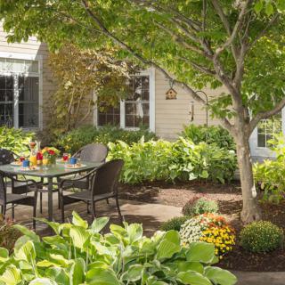 A tranquil garden patio with a table and chairs surrounded by lush greenery and trees.