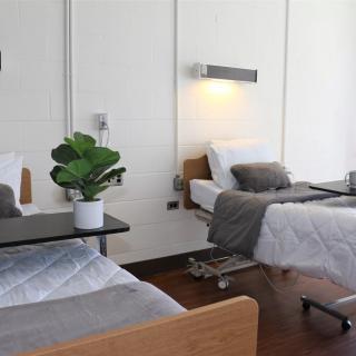 A clean and well-lit hospital room with two patient beds and a potted plant on a table.