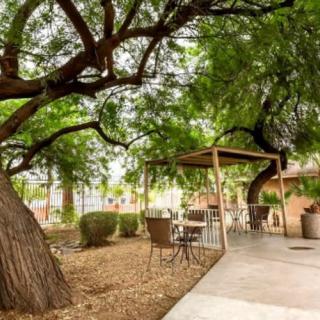 A peaceful outdoor setting with chairs and tables under the shade of lush trees.