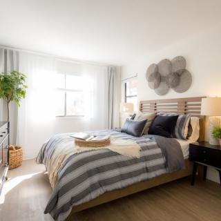 A modern and cozy bedroom with striped bedding and ample natural light.
