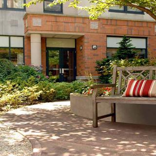 A tranquil outdoor seating area with a bench, surrounded by lush greenery and adjacent to a building.