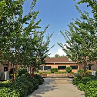 A serene pathway lined with trees, leading to a building surrounded by lush greenery.