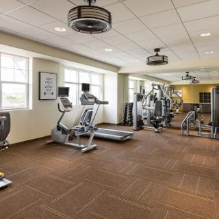 A modern gym equipped with various exercise machines and a spacious layout.