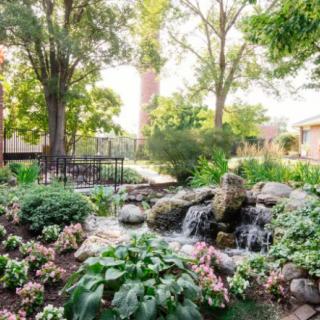 A serene garden featuring a small waterfall, surrounded by lush greenery and colorful flowers.
