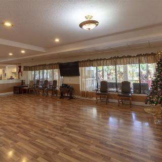 An empty room with hardwood floors, featuring chairs lined up against a wall, a television, large windows with curtains, and a Christmas tree decorated for the holidays.