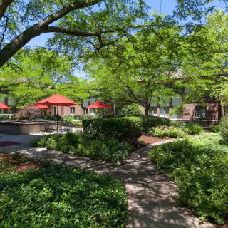 A lush garden area with a walkway, surrounded by greenery and red umbrellas.