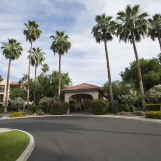 A scenic view of a building entrance lined with tall palm trees and lush greenery under a cloudy sky.