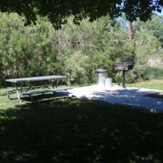 A serene outdoor picnic area with a table, grill, and surrounding trees.