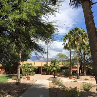 A serene outdoor scene featuring a pathway lined with trees and palms, leading to a building under a blue sky.