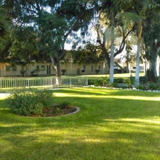 A tranquil park scene with lush grass, tall trees, and a garden surrounded by a fence.