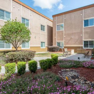 A view of a well-maintained courtyard with landscaping, surrounded by apartment buildings.