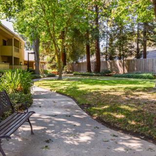 A peaceful park setting with a winding pathway, surrounded by lush greenery and shaded by tall trees.