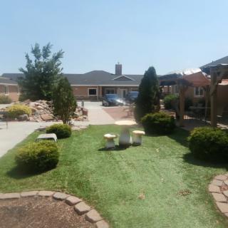 A well-maintained garden with a lawn, bushes, and a patio in front of a house on a sunny day.