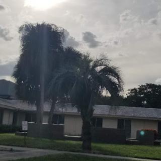 A serene view of a residential neighborhood featuring palm trees under a cloudy sky.