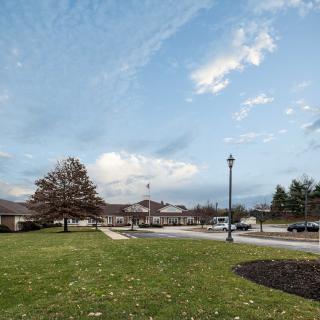 A suburban landscape with a tree, grass, and street lamp under a partly cloudy sky.