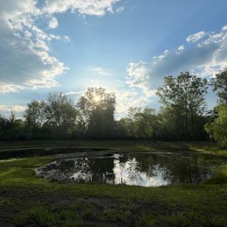 A serene landscape showcasing a pond under a partly cloudy sky, with reflections of the surrounding trees.