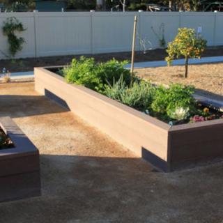 A sunny outdoor space with raised garden beds filled with various plants and vegetables.