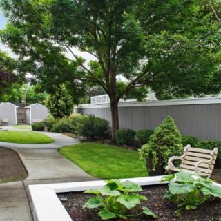 A serene garden with a bench and a winding pathway surrounded by lush greenery.