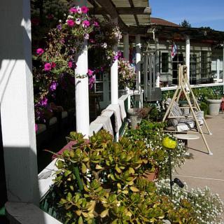 A lush garden patio with vibrant flowers and seating area under a pergola.