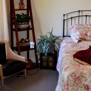 A cozy bedroom with a floral bedspread, an elegant chair, and decorative plants on shelves.