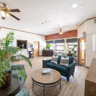 A bright and inviting living room featuring comfortable seating, decorative plants, and a warm ambiance.