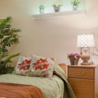 A cozy bedroom with decorative pillows, a nightstand with a lamp and potted plants, and a shelf displaying more greenery.