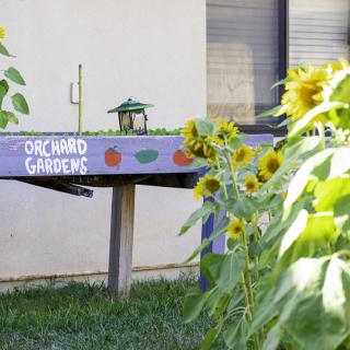 A colorful garden with sunflowers and a table labeled 'Orchard Gardens' featuring a bird feeder.