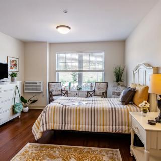 A cozy and well-decorated bedroom featuring a bed with striped bedding, a large window, and various furnishings including a dresser and potted plants.