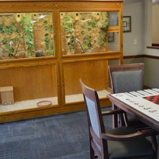 A cozy office space featuring a wooden table and chairs, with a large window showcasing greenery in the background.