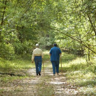 Two people walking along a forest path.