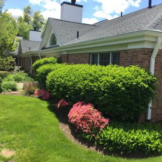 A view of a well-maintained garden with bushes alongside a brick house on a sunny day.