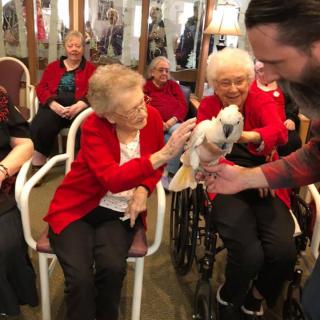 Elderly residents enjoying a visit with a parrot at a nursing home.