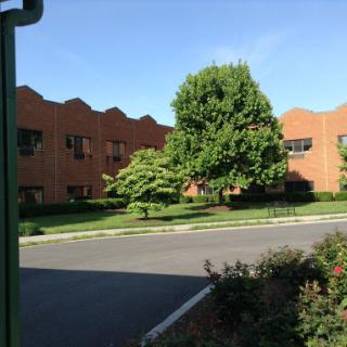 A serene view of a brick building surrounded by lush greenery on a sunny day.