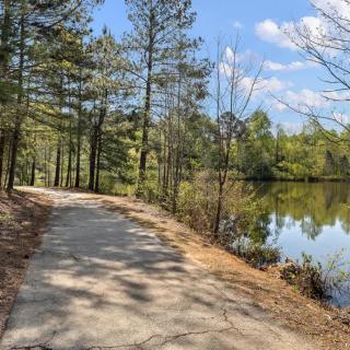 A scenic trail through a forest alongside a tranquil lake.