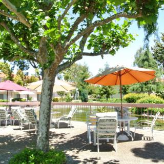 A scenic outdoor patio area with tables and chairs shaded by umbrellas, surrounded by lush greenery.