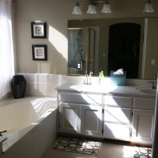 A well-lit bathroom interior featuring a sink, bathtub, mirror, and decorative elements.