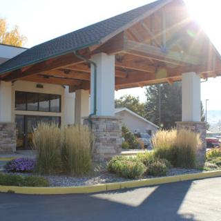 A sunlit entrance to a hotel featuring natural landscaping.