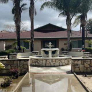 A serene courtyard featuring a central fountain, surrounded by palm trees and a building in the background.